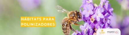 Hábitat para polinizadores