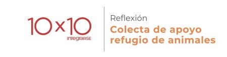Reflexión 10×10 Colecta de apoyo REFUGIO DE ANIMALES