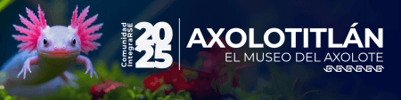 Registro | Visita al Museo del Axolote